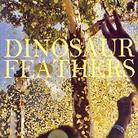 Dinosaur Feathers - Whistle Tips