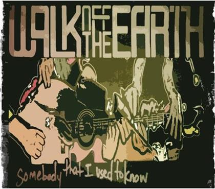 Walk Off The Earth - Somebody That I Used To Know