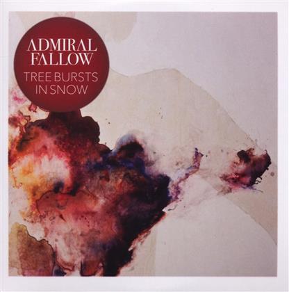 Admiral Fallow - Tree Bursts In Snow