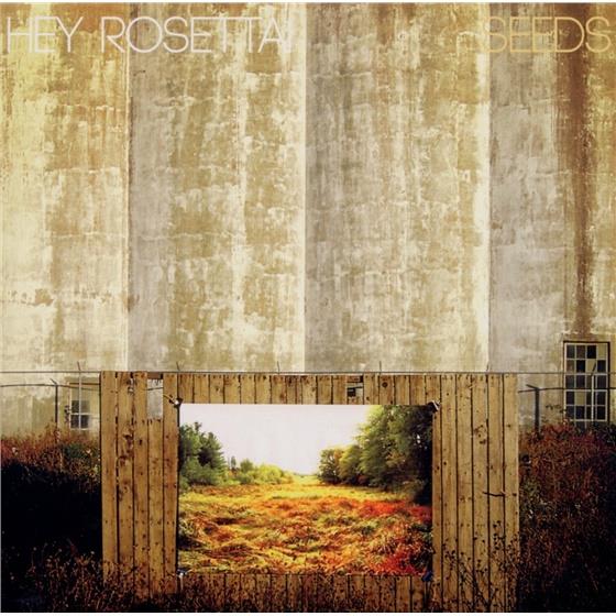 Rosetta Hey - Seeds (Limited Edition)