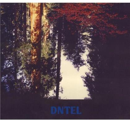Dntel (Postal Service Member) - Aimlessness
