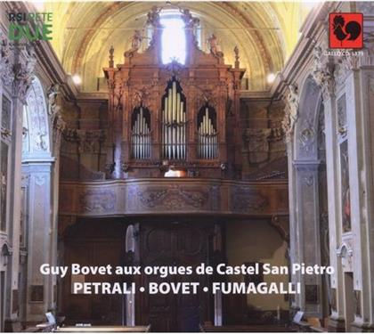 Guy Bovet & Petrali / Bovet / Fumagalli / + - Guy Bovet Aux Orgues De Castel