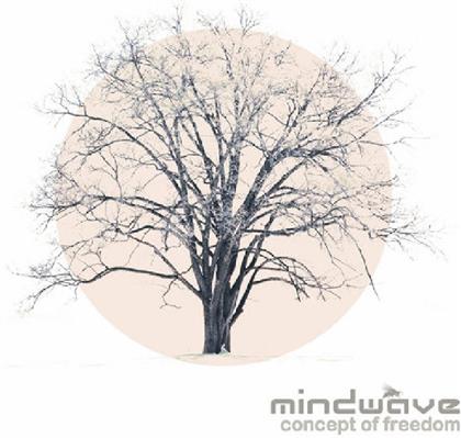 Mindwave - Concept Of Freedom