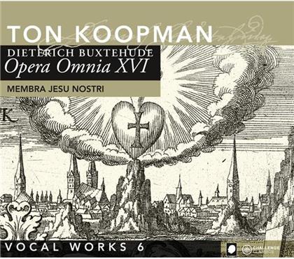 Koopman Ton / Amsterdam Baroque & Dietrich Buxtehude (1637-1707) - Opera Omnia XVI - Vocal Music