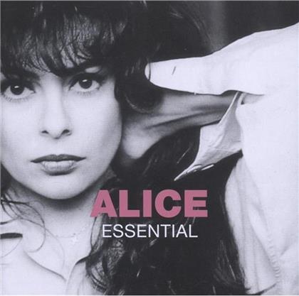 Alice - Essential