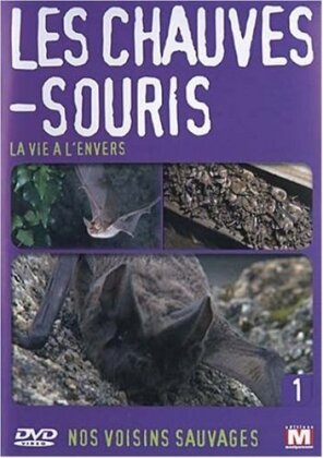 Les chauves-souris - La vie à l'envers - Nos voisins sauvages Vol. 1