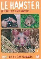 Le hamster - Le dernier des grands hamsters - Nos voisins sauvages Vol. 5