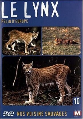 Le lynx - Félin d'Europe - Nos voisins sauvages Vol. 10