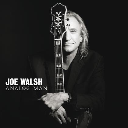 Joe Walsh (Eagles) - Analog Man