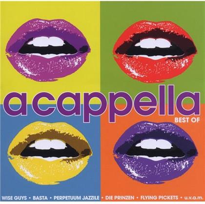 A Cappella - Various - Best Of (2 CDs)