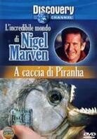 L'incredibile mondo di Nigel Marven - A caccia di Piranha (Discovery Channel)