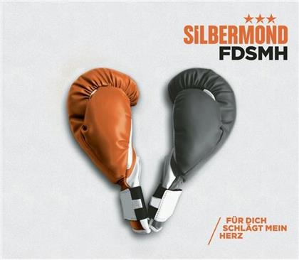 Silbermond - Fdsmh