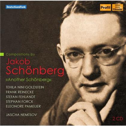 Nemtsov Jascha / Reinecke / Fehlandt / & Jakob Schönberg - Another Schönberg (2 CDs)