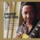 Muddy Waters - Icon (Japan Edition)