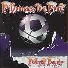 Robert Berry - Pilgrimage To A Point