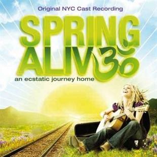 Spring Groove - Spring Alive