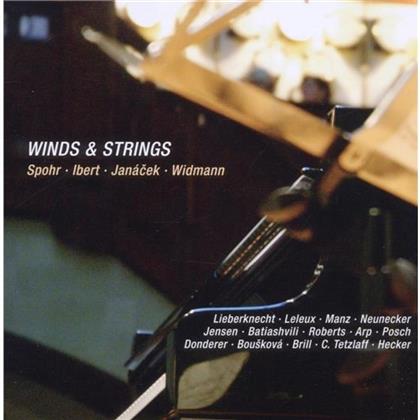 Lieberknecht / Leleux / Manz / + & --- - Streicher & Blaeser