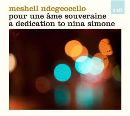 Me'shell Ndegeocello - Pour Une Ame Souveraine