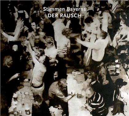 Stimmen Bayerns: Der Rausch
