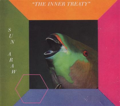 Sun Araw - Inner Treaty