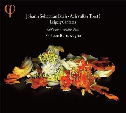 Blazikova Hana / Guillon Damien & Johann Sebastian Bach (1685-1750) - Leipzig Cantatas 1723