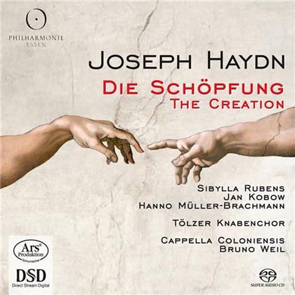 Weil Bruno / Capell Coloniensis & Joseph Haydn (1732-1809) - Die Schöpfung (2 SACDs)
