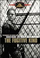 The fugitive kind (1959)