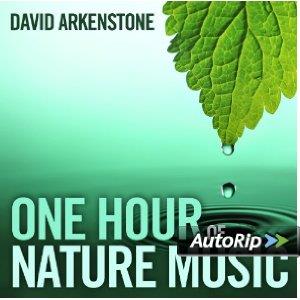David Arkenstone - One Hour Of Nature Music