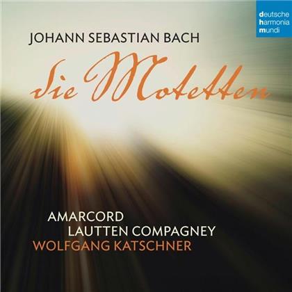 Lautten Compagney / Amarcord & Johann Sebastian Bach (1685-1750) - Die Motetten