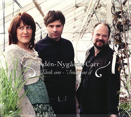 Nygards Sanden - Taenk Om