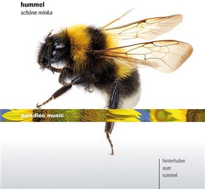 Hinterhuber Christoph / Auer / Rummel & Johann Nepomuk Hummel (1778-1837) - Schoene Minka