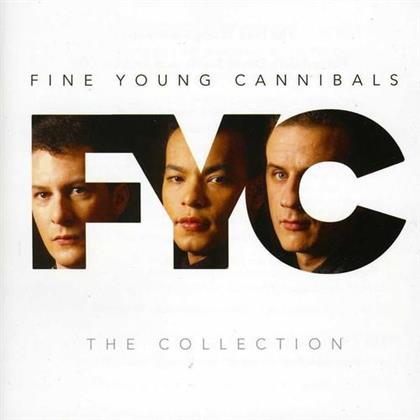Fine Young Cannibals - Collection