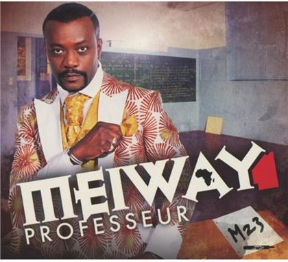 Meiway - Professeur