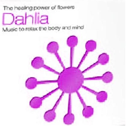 Dahlia - Various