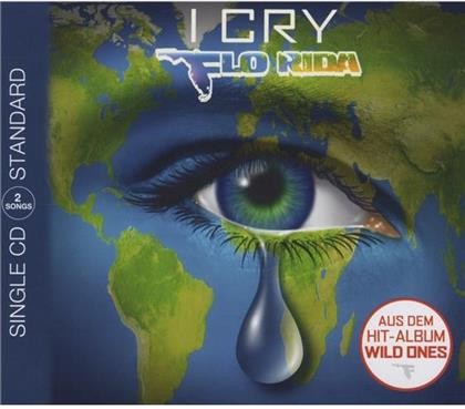Flo-Rida - I Cry(2Track)
