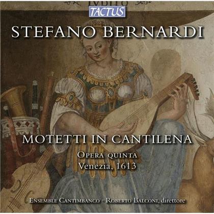 Balconi Roberto / Ensemble Cantimbanco & Stefano Bernardi - Motetten In Cantilena, Opera Quinta