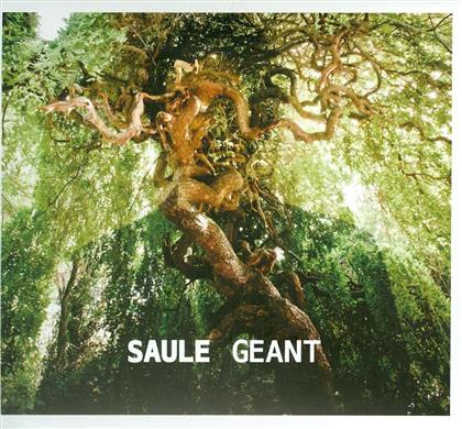 Saule (France) - Geant (Digipack)
