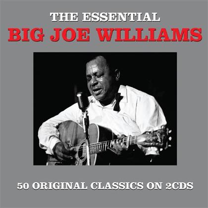 Big Joe Williams - Essential (2 CDs)