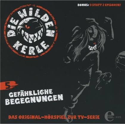 Die Wilden Kerle - 5 Gefährliche Begegnungen