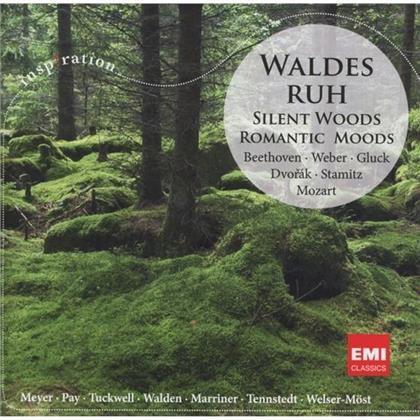 Meyer / Tennstedt / Heger / Various & Weber / Mozart / Dvorak / Stamitz - Waldesruh: Romantic Moods