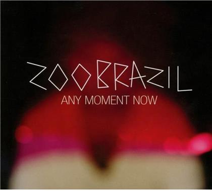 Zoo Brazil - Any Moment Now