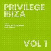 Privilege Ibiza - Vol. 1 (2 CDs)
