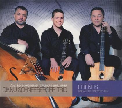 Diknu Schneeberger - Friends - A New Colour In Gypsy Jazz