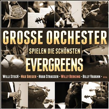 Grosse Orchester Spielen Evergreens