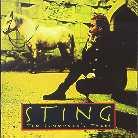 Sting - Ten Summoner's Tales (Japan Edition)