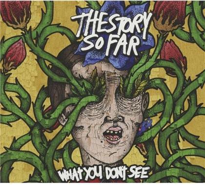 The Story So Far - What You Don't See
