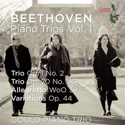 Gould Piano Trio & Ludwig van Beethoven (1770-1827) - Trio In G-Dur Op1/2, Allegretto B-Dur