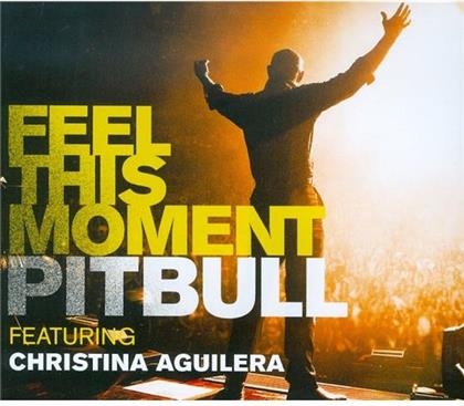 Pitbull Feat. Aguilera Christina - Feel This Moment - 2Track