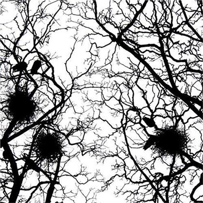 Daniel Pearson - Mercury State