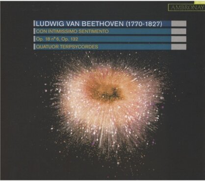 Quatuor Terpsycordes & Ludwig van Beethoven (1770-1827) - Con Intissimo Sentimento - Op18/6. Op132